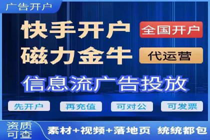 百度SEO推广成功案例：品牌知名度提升